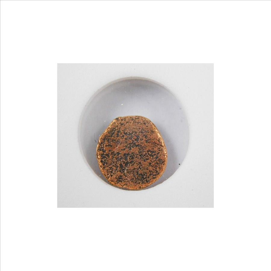 Roman Coin