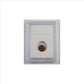 Roman Coin