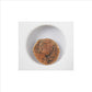 Roman Coin